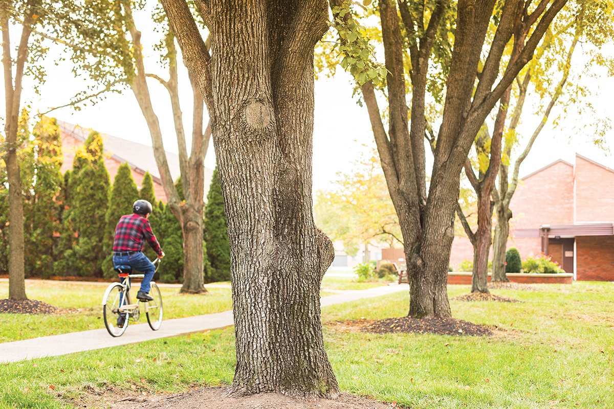 Man riding his mike down a sidewalk at Westerwood.