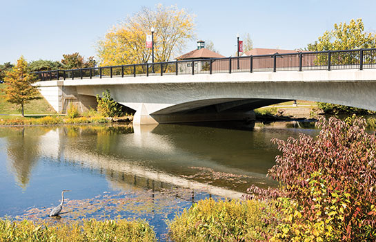Bridge on a sunny fall day.