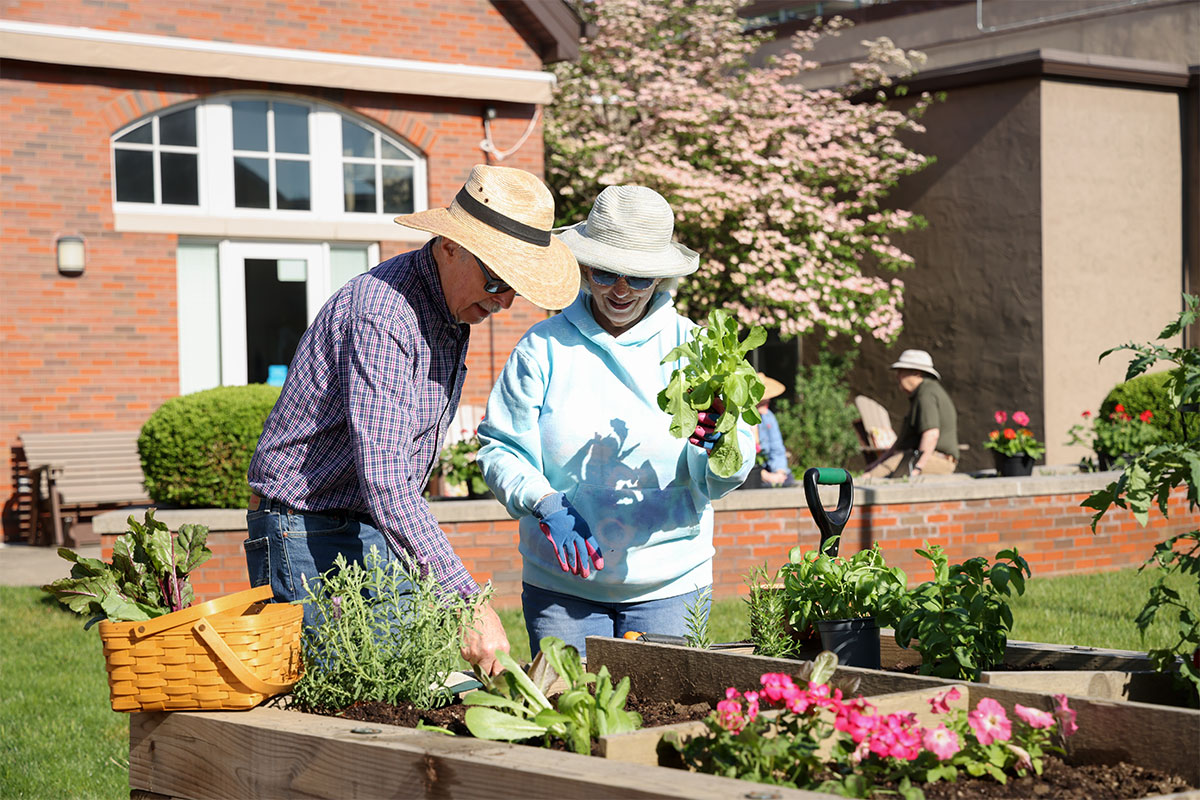 Couple gardening in raised garden beds on a sunny day.