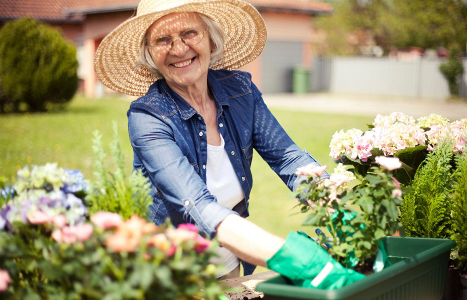 senior woman planting flowers