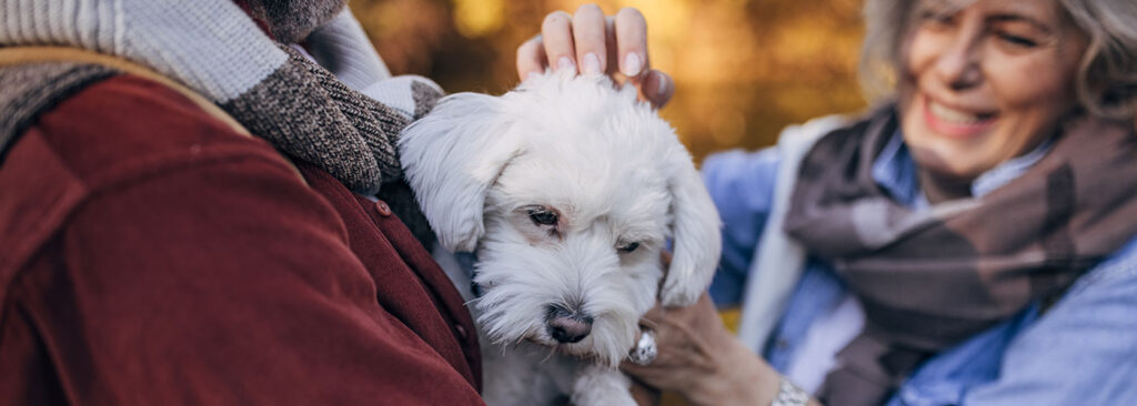 Couple with dog