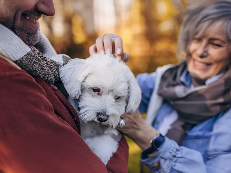 Couple with dog