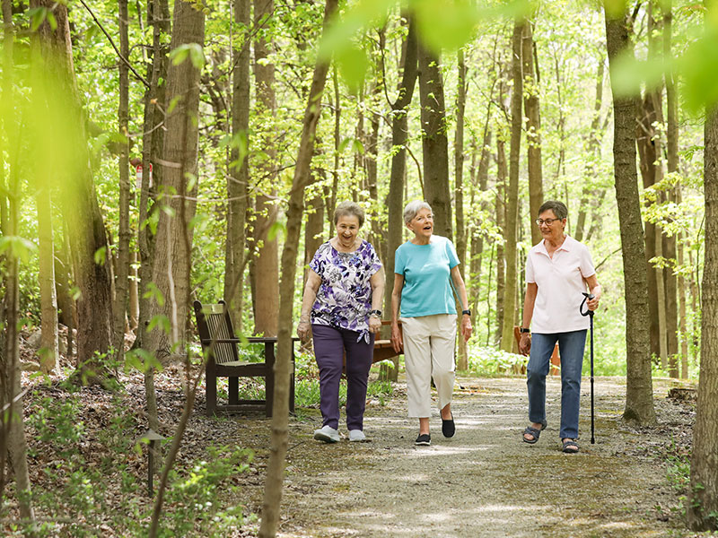several women friends walking on a path in Friendship Woods