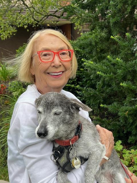 Person Holding a Dog Outdoors