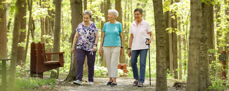 People Walking on a Woodland Trail