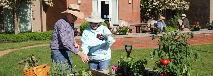A Senior couple gardening together